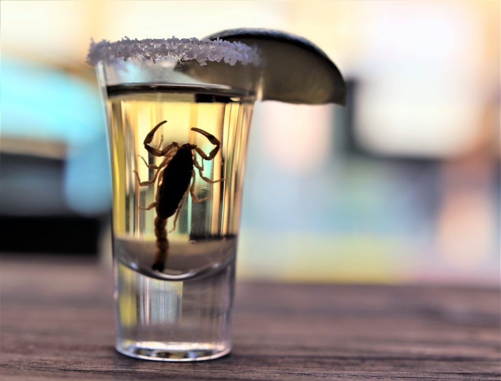 Drink a Scorpion