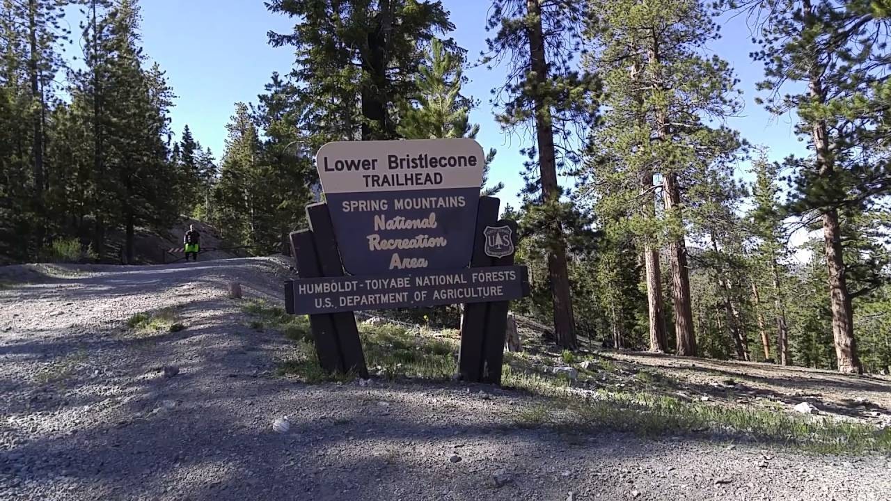 Bristlecone Trail, Mount Charleston