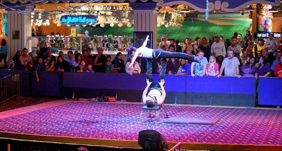 Attend the Circus Circus Show