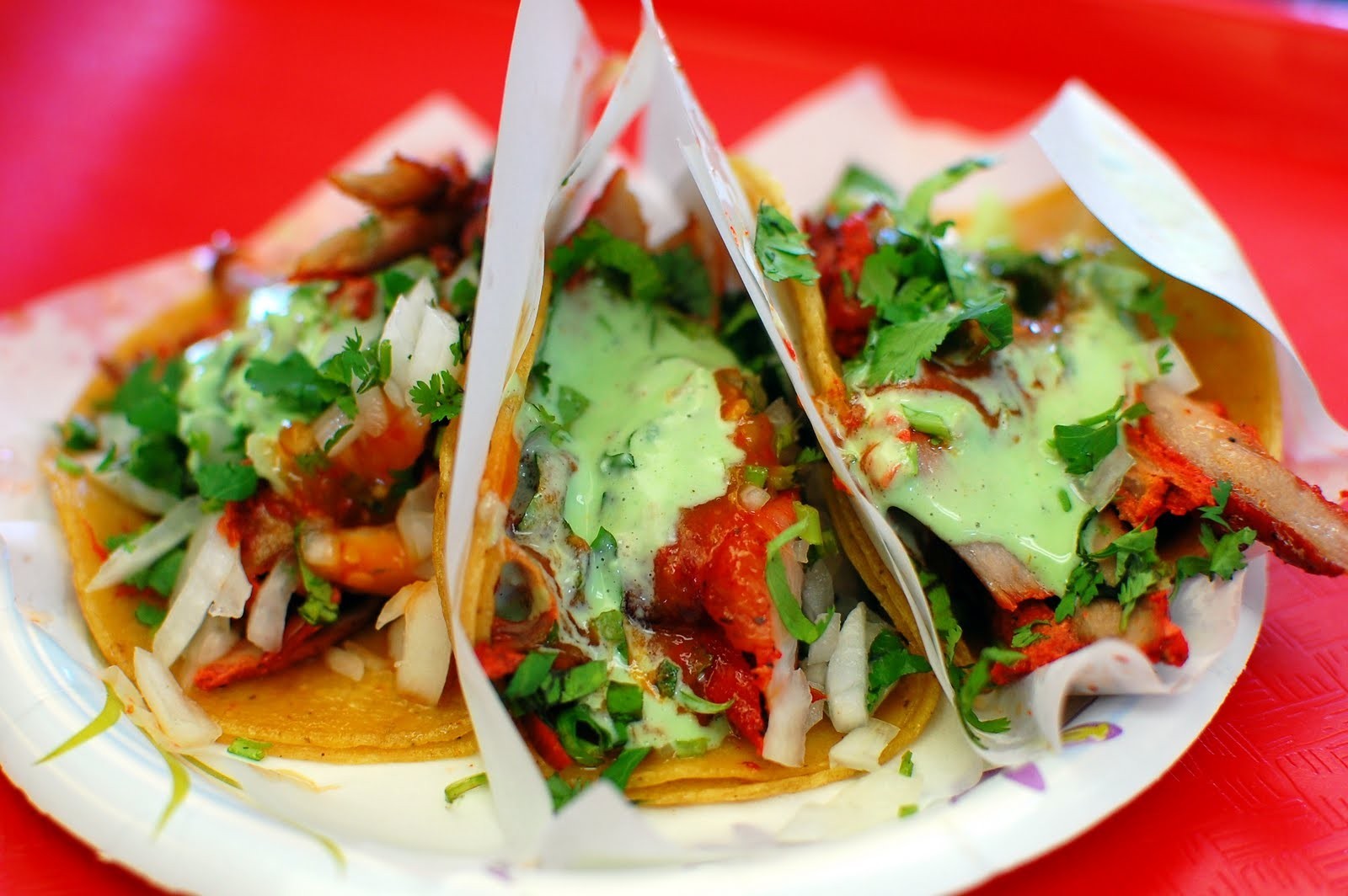 Tacos El Gordo
