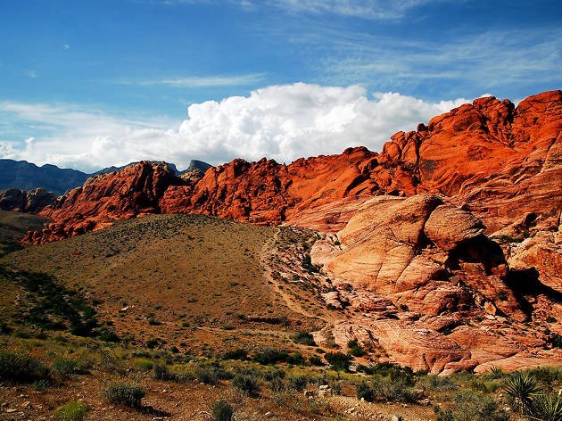 Red Rock Canyon National Conservation