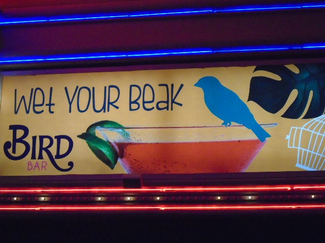 Bird Bar