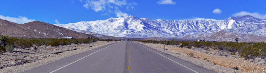 Samantha Ortega cover image