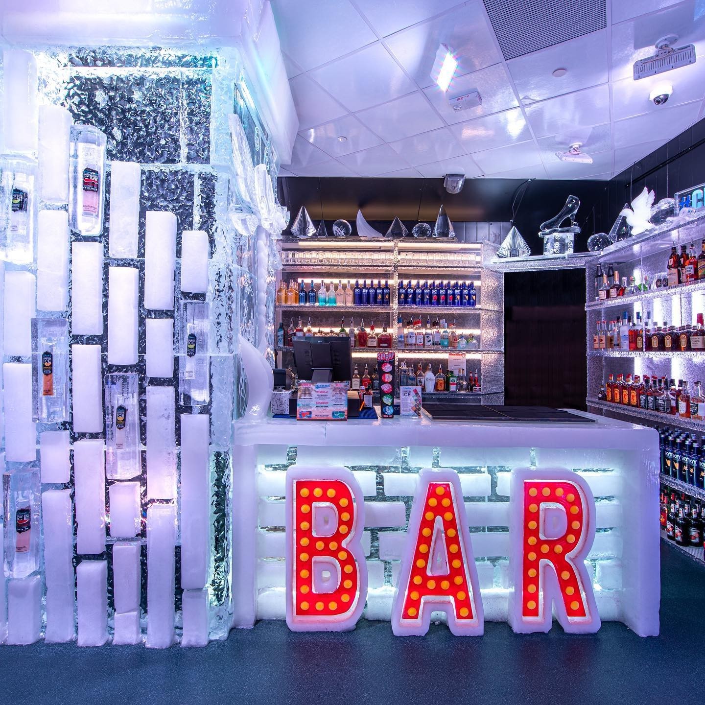 Minus5° Ice Experience